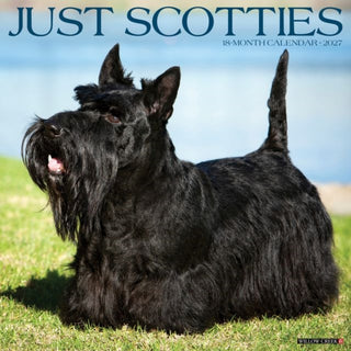 Cover image for 9781549262203 - Scotties 2027 Wall