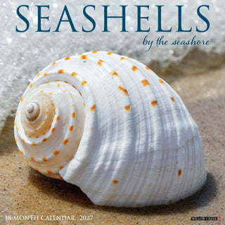 Cover image for 9781549262234 - Seashells 2027 Wall