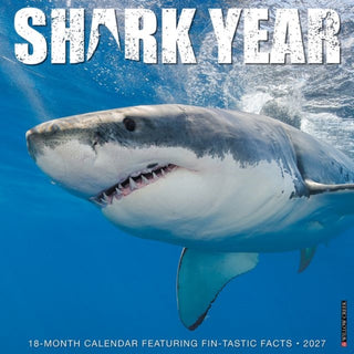 Cover image for 9781549262289 - Shark Year 2027 Wall