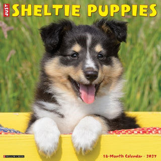 Cover image for 9781549262296 - Sheltie Puppies 2027 Wall