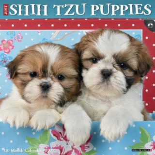 Cover image for 9781549262319 - Shih Tzu Puppies 2027 Wall