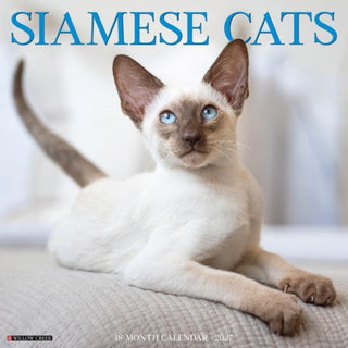 Cover image for 9781549262326 - Siamese Cats 2027 Wall