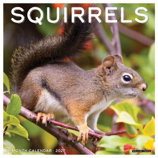 Cover image for 9781549262470 - Squirrels 2027 Wall