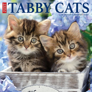 Cover image for 9781549262531 - Tabby Cats 2027 Wall