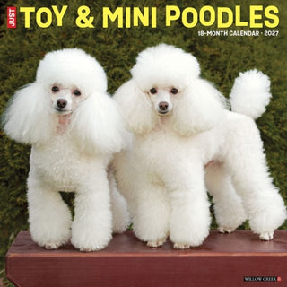 Cover image for 9781549262647 - Toy & Miniature Poodles 2027 Wall