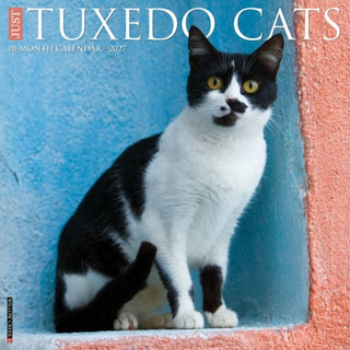 Cover image for 9781549262715 - Tuxedo Cats 2027 Wall