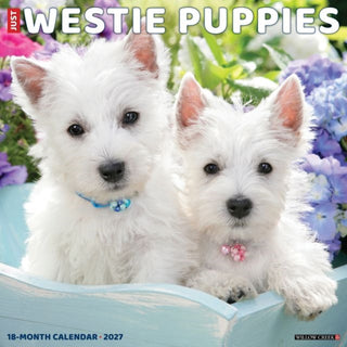 Cover image for 9781549262852 - Westie Puppies 2027 Wall