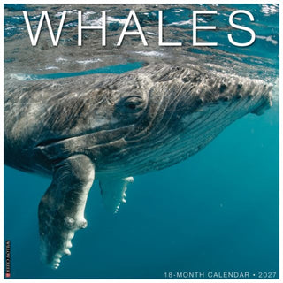 Cover image for 9781549262876 - Whales 2027 Wall