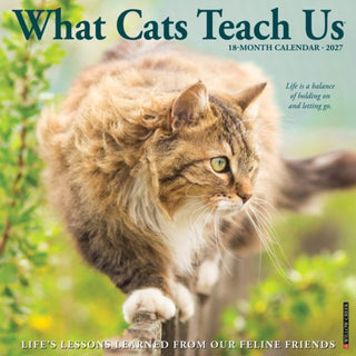 Cover image for 9781549262883 - What Cats Teach Us 2027 Wall