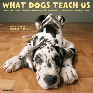 Cover image for 9781549262890 - What Dogs Teach Us 2027 Wall