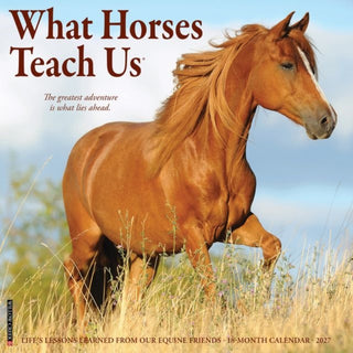 Cover image for 9781549262920 - What Horses Teach Us 2027 Wall