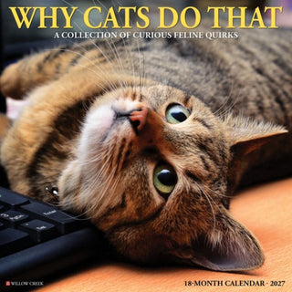 Cover image for 9781549262982 - Why Cats Do That 2027 Wall