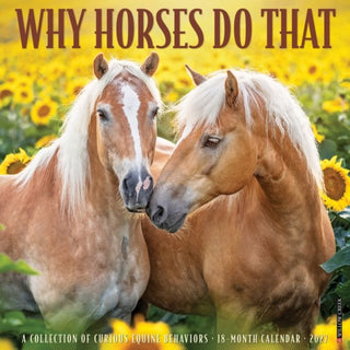 Cover image for 9781549262999 - Why Horses Do That 2027 Wall