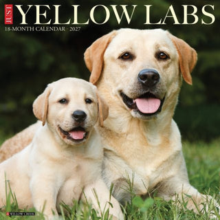 Cover image for 9781549263095 - Yellow Labs 2027 Wall