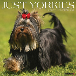 Cover image for 9781549263118 - Yorkies 2027 Wall