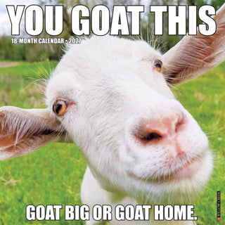 Cover image for 9781549263132 - You Goat This 2027 Wall