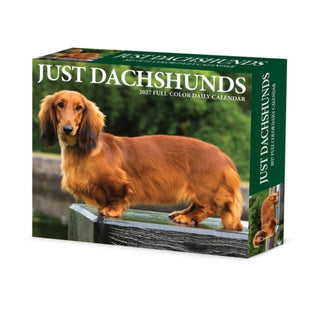 Cover image for 9781549263385 - Dachshunds 2027 Box