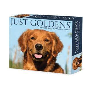Cover image for 9781549263491 - Goldens 2027 Box
