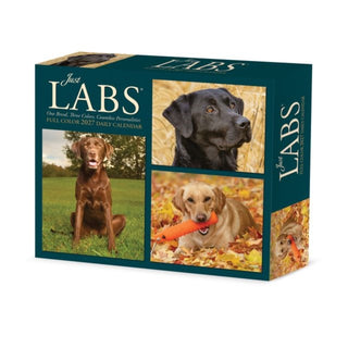 Cover image for 9781549263569 - Labs 2027 Box