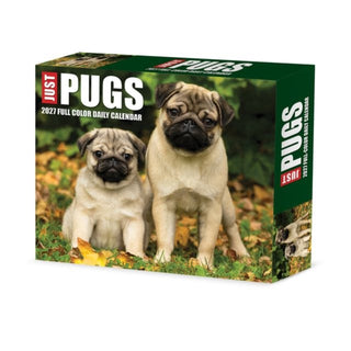 Cover image for 9781549263699 - Pugs 2027 Box