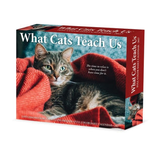 Cover image for 9781549263828 - What Cats Teach Us 2027 Box