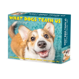 Cover image for 9781549263835 - What Dogs Teach Us 2027 Box