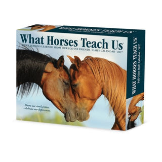 Cover image for 9781549263842 - What Horses Teach Us 2027 Box