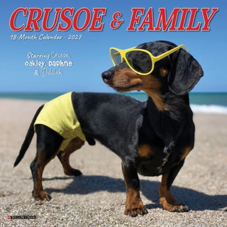 Cover image for 9781549263972 - Crusoe & Friends 2027 Mini