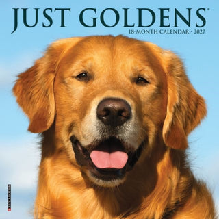 Cover image for 9781549264047 - Goldens 2027 Mini