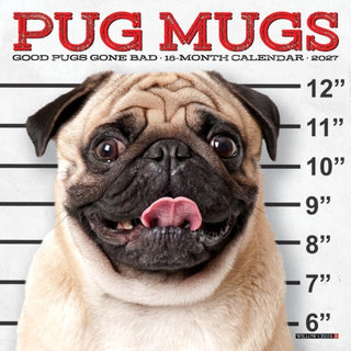 Cover image for 9781549264160 - Pug Mugs 2027 Mini