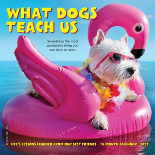 Cover image for 9781549264283 - What Dogs Teach Us 2027 Mini