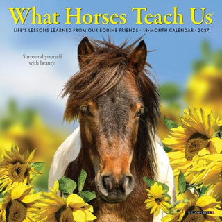Cover image for 9781549264290 - What Horses Teach Us 2027 Mini