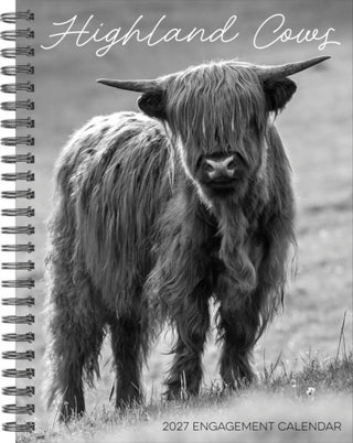 Cover image for 9781549264412 - Highland Cows 2027 Engagement