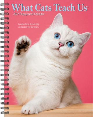 Cover image for 9781549264443 - What Cats Teach Us 2027 Engagement