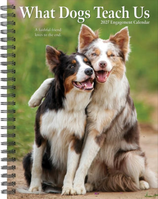 Cover image for 9781549264450 - What Dogs Teach Us 2027 Engagement