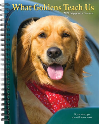 Cover image for 9781549264467 - What Goldens Teach Us 2027 Engagement