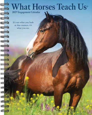 Cover image for 9781549264474 - What Horses Teach Us 2027 Engagement
