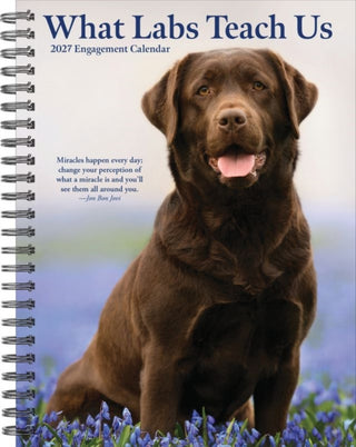Cover image for 9781549264481 - What Labs Teach Us 2027 Engagement
