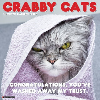 Cover image for 9781549265167 - Crabby Cats 2027 Wall