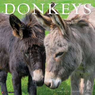 Cover image for 9781549265204 - Donkeys 2027 Wall