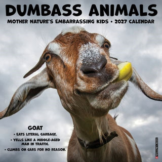 Cover image for 9781549265211 - Dumbass Animals 2027 Wall