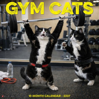 Cover image for 9781549265280 - Gym Cats 2027 Wall