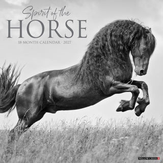 Cover image for 9781549265389 - Spirit of the Horse 2027 Wall