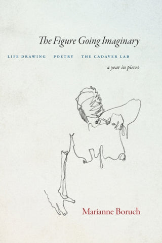 Cover image for 9781556596940 - The Figure Going Imaginary