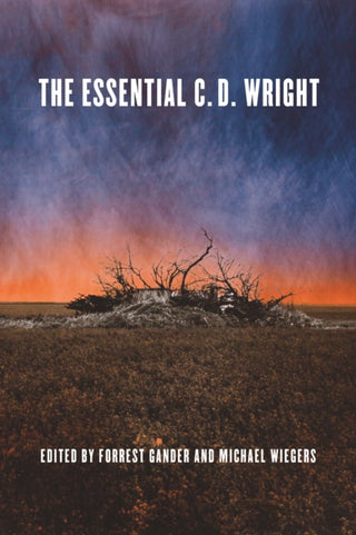 Cover image for 9781556597190 - The Essential C.D. Wright