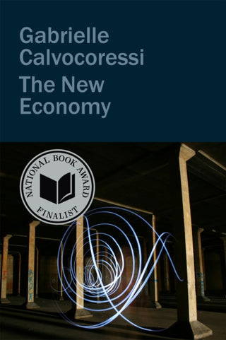 Cover image for 9781556597213 - The New Economy