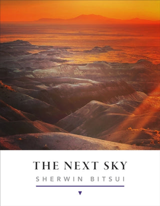 Cover image for 9781556597336 - The Next Sky