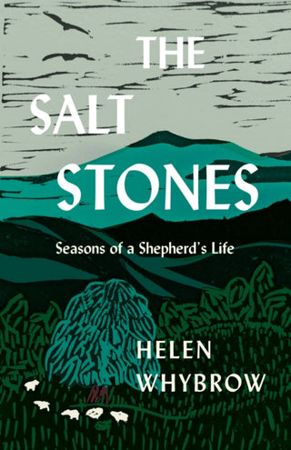 Cover image for 9781571311627 - The Salt Stones