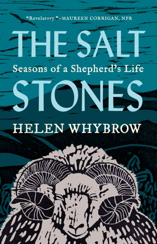 Cover image for 9781571311634 - The Salt Stones