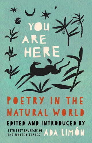 Cover image for 9781571315687 - You Are Here